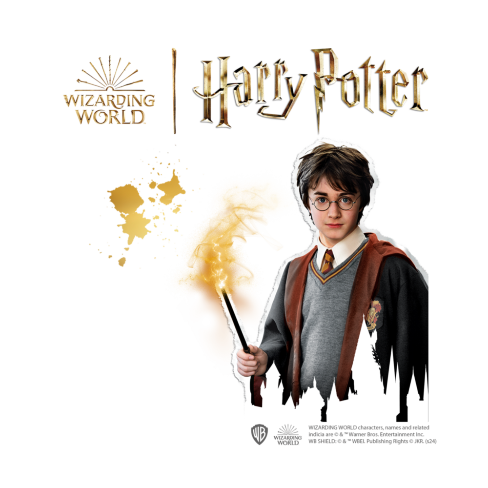 SES - Gieten en schilderen - Harry Potter