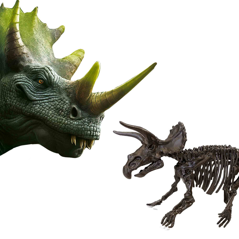 SES - Explore - Dino und Skelett ausgraben 2 in 1 - Triceratops