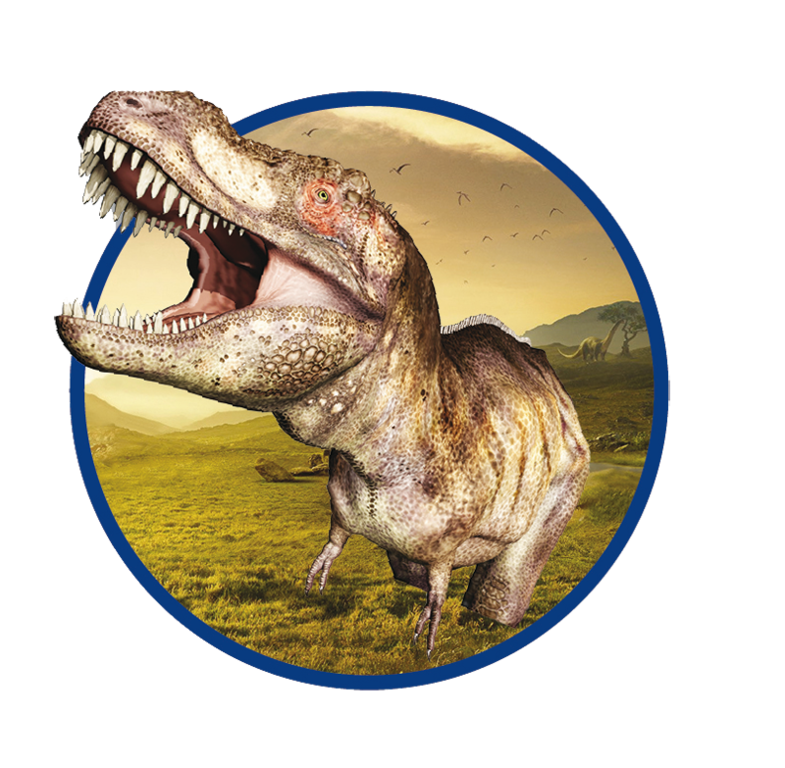 SES Bikken Dino Skelet T-Rex