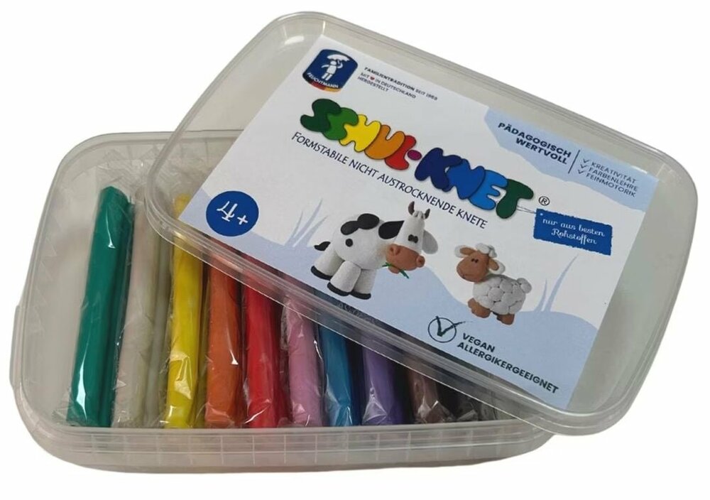 Feuchtmann - 628 0111 - SCHUL-KNET - Box Maxi 10x40g