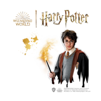 SES - Gieten en schilderen - Harry Potter