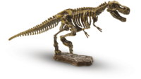 SES Bikken Dino Skelet T-Rex