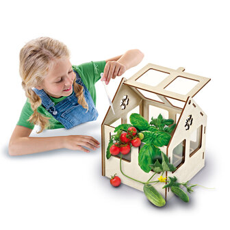 SES - Explore - Greenhouse veggies