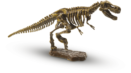 SES Bikken Dino Skelet T-Rex
