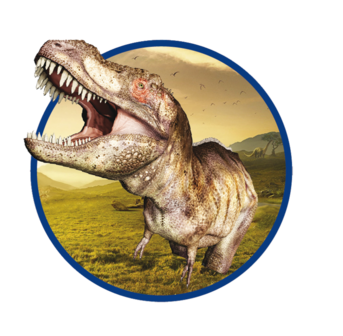 SES Bikken Dino Skelet T-Rex