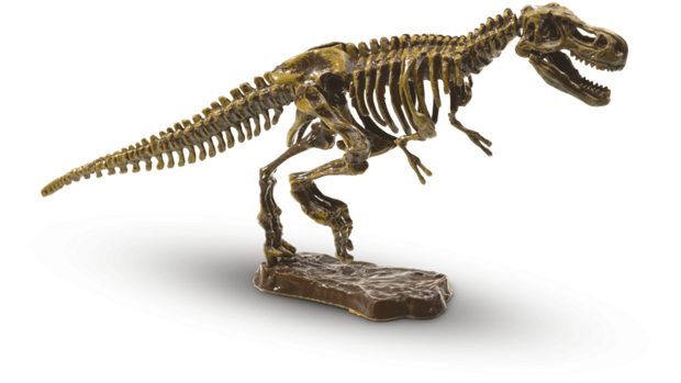 SES Bikken Dino Skelet T-Rex